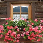 Auer's Zuahaeusl Domek alpejski Schladming