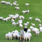 Auer's Zuahaeusl Domek alpejski Schladming
