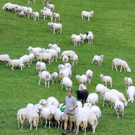 Auer's Zuahaeusl Chalet Schladming