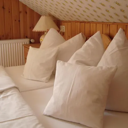 Auer's Zuahaeusl * Schladming