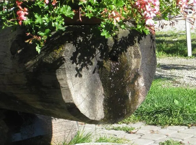 Auer's Zuahaeusl シャレー シュラートミンク