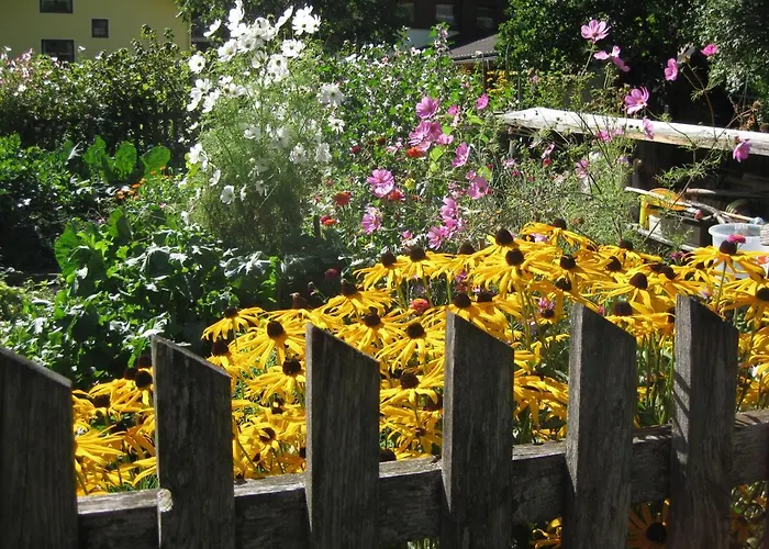 Auer's Zuahaeusl シャレー *