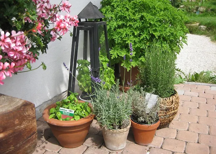 Chalet Auer's Zuahaeusl