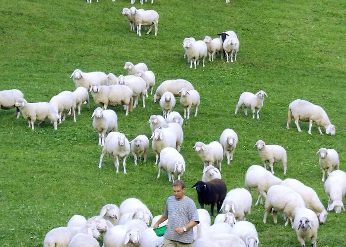 Auer's Zuahaeusl シャレー シュラートミンク